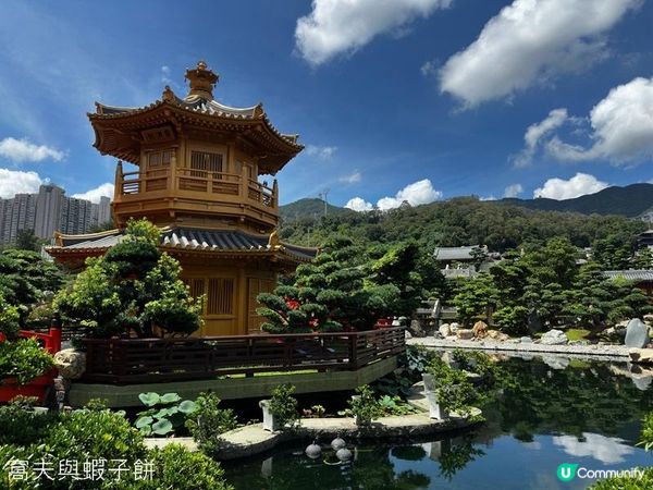 香港好去處 | 賞花 | 夏遊志蓮淨苑 | 蓮花 | 紫薇