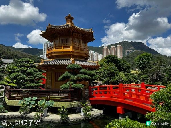 香港好去處 | 賞花 | 夏遊志蓮淨苑 | 蓮花 | 紫薇