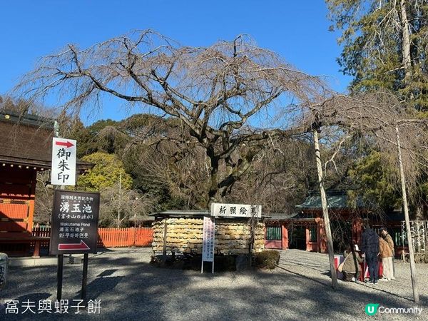 日本東京靜岡縣之旅 | 富士宮 | 富士山本宮淺間大社