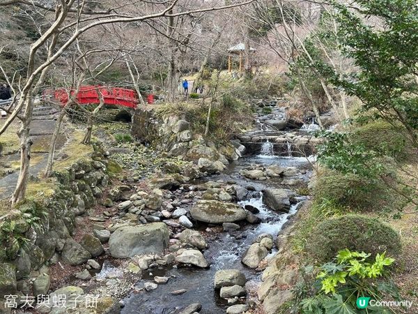 日本東京靜岡縣之旅 | 熱海梅園 | 梅花祭必試關東煮