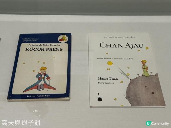 香港好去處 | 香港大學美術博物館 | 暑假必看兩個展覽