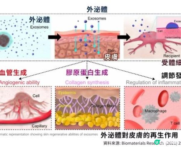 Exosome外泌體生髮係咩嚟？真係咁有效？