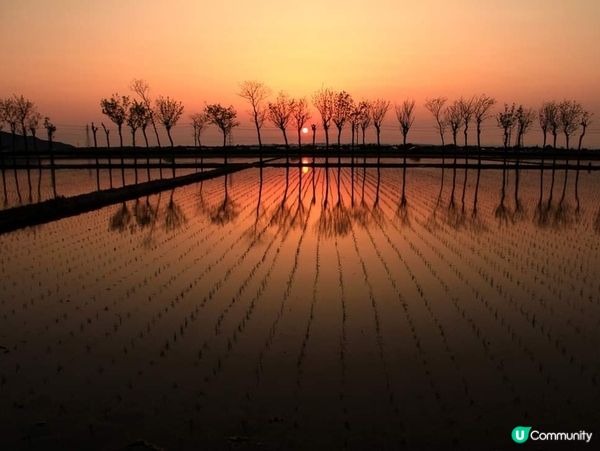 新潟 稻田的小鹽湖 西蒲区