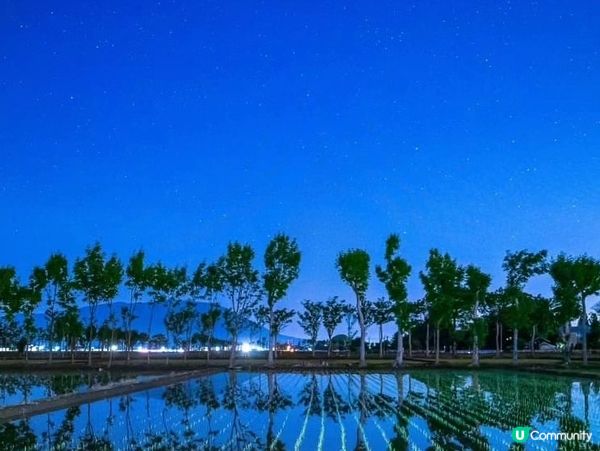 新潟 稻田的小鹽湖 西蒲区