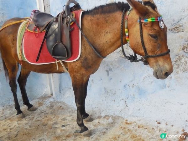 細味人生:身動心靜@聖島