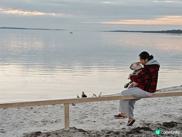 🩷 [西澳の美] 痴醉又迷人的極光 🩷