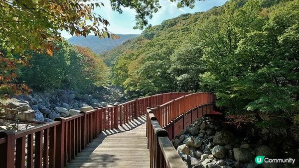 漢拿山御里牧、靈室登山路線︱初心者OK的韓國第一高峰【韓國濟州島遊記Day1】