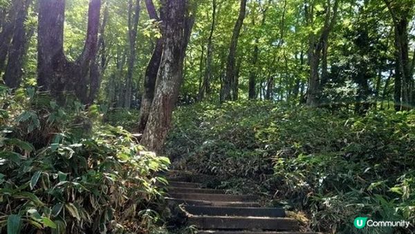 漢拿山御里牧、靈室登山路線︱初心者OK的韓國第一高峰【韓國濟州島遊記Day1】