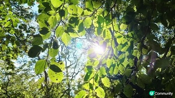 漢拿山御里牧、靈室登山路線︱初心者OK的韓國第一高峰【韓國濟州島遊記Day1】