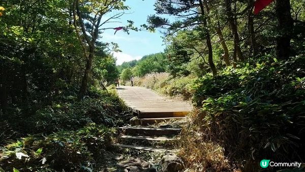 漢拿山御里牧、靈室登山路線︱初心者OK的韓國第一高峰【韓國濟州島遊記Day1】