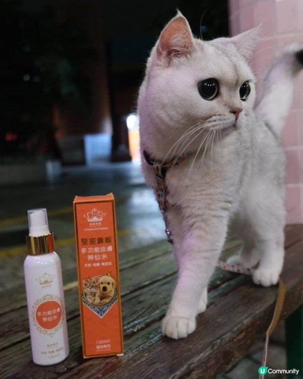 寵物用品攻略：皇室貴寵多功能皮膚神仙水 