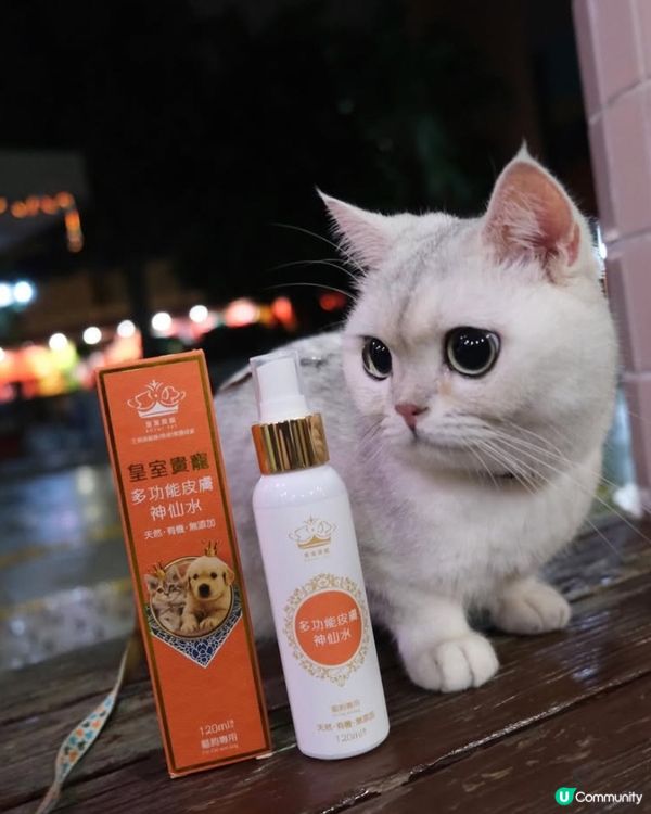 寵物用品攻略：皇室貴寵多功能皮膚神仙水 