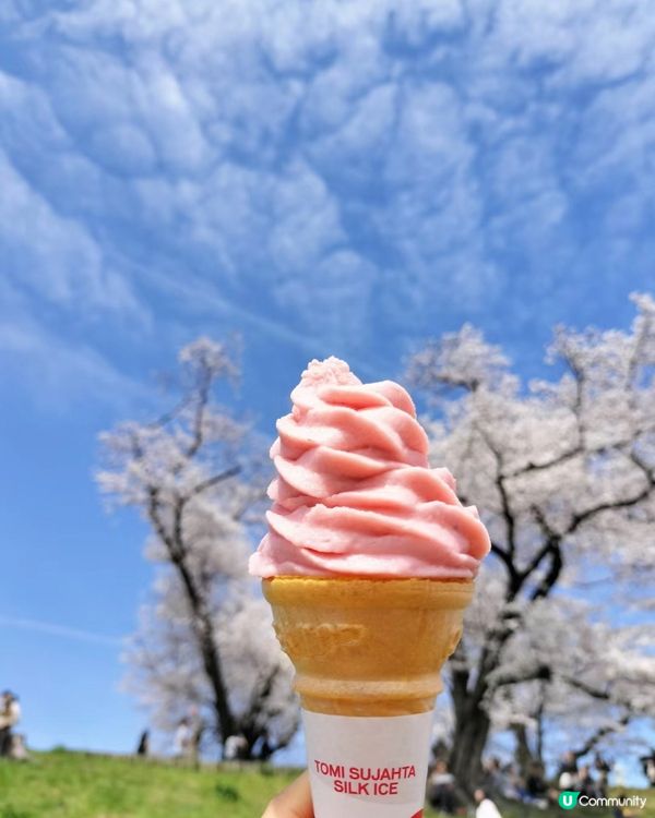 日本絲滑入境詳盡攻略和提示