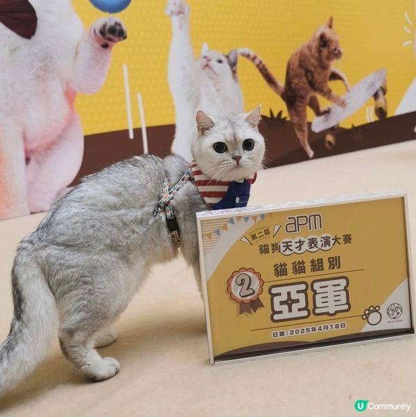 Apm第二屆天才表演嘅亞軍