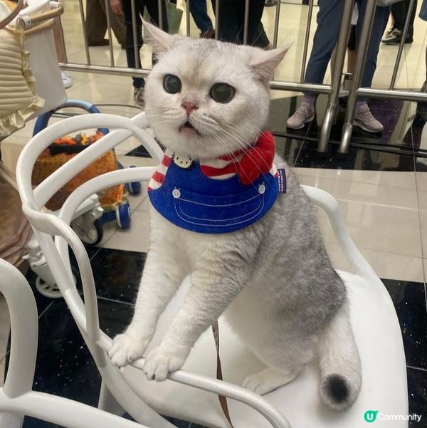 Apm第二屆天才表演嘅亞軍