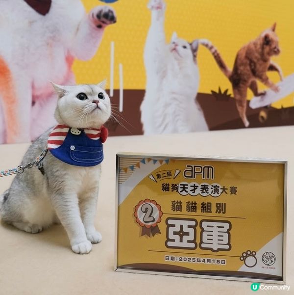 Apm第二屆天才表演嘅亞軍