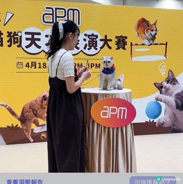 Apm第二屆天才表演嘅亞軍