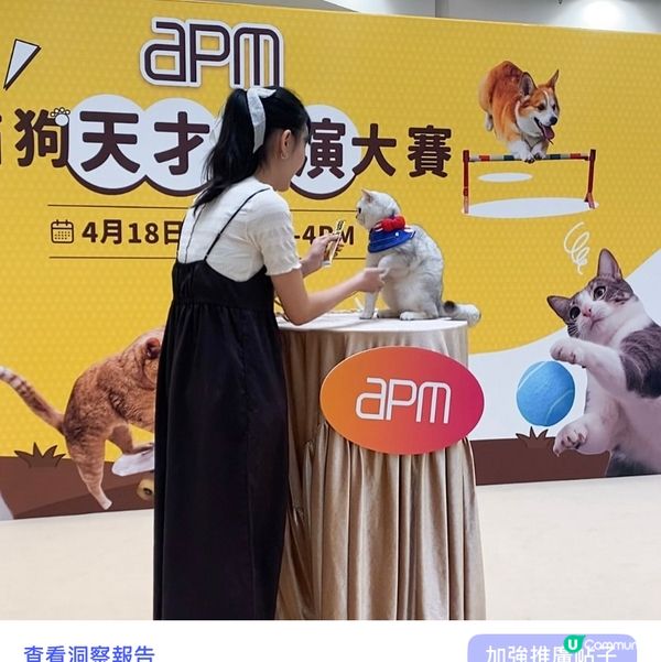 Apm第二屆天才表演嘅亞軍