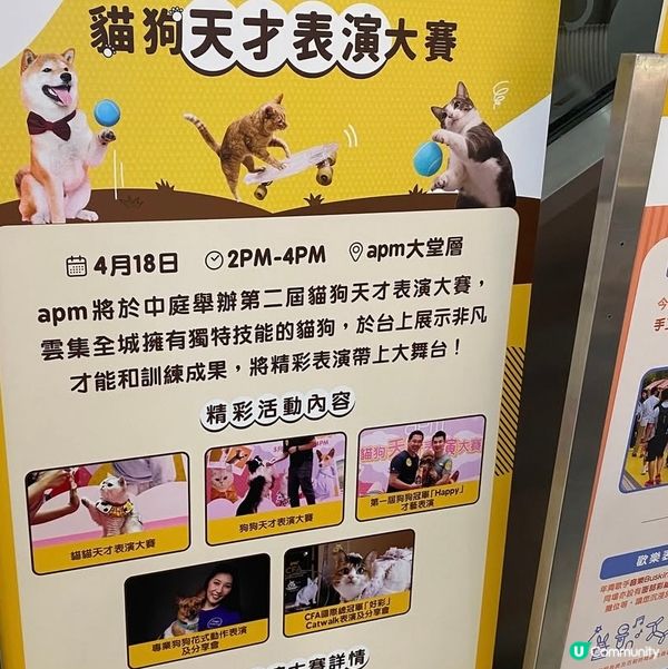 Apm第二屆天才表演嘅亞軍