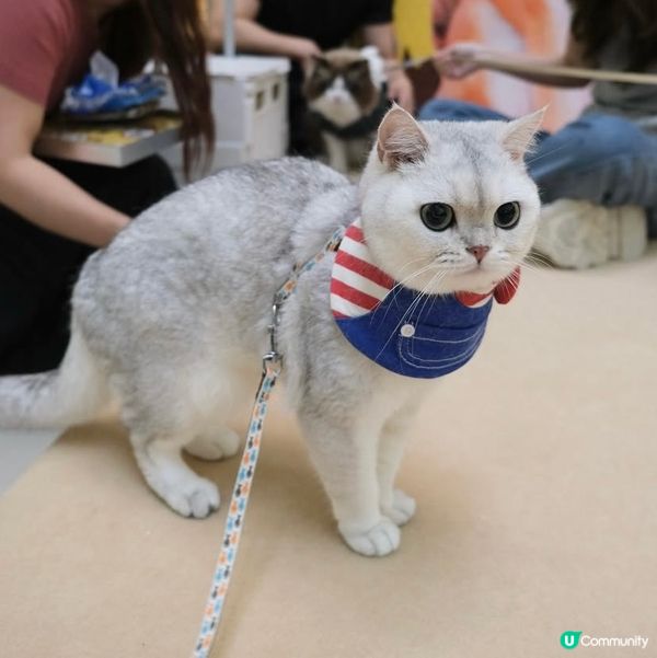 Apm第二屆天才表演嘅亞軍