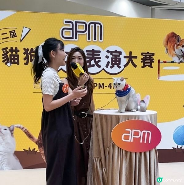 Apm第二屆天才表演嘅亞軍