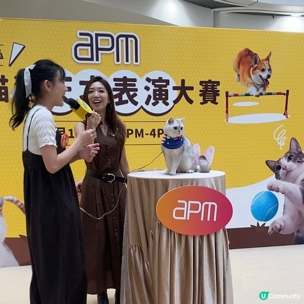 Apm第二屆天才表演嘅亞軍