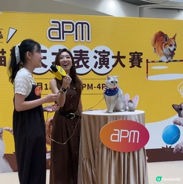 Apm第二屆天才表演嘅亞軍