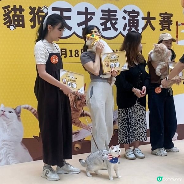 Apm第二屆天才表演嘅亞軍