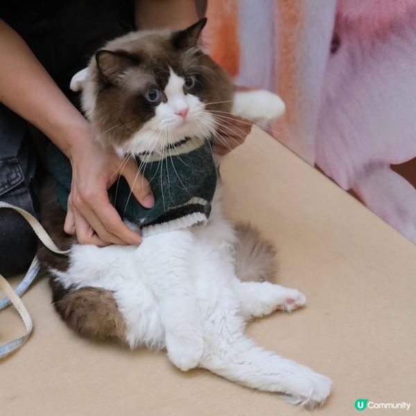 Apm第二屆天才表演嘅亞軍