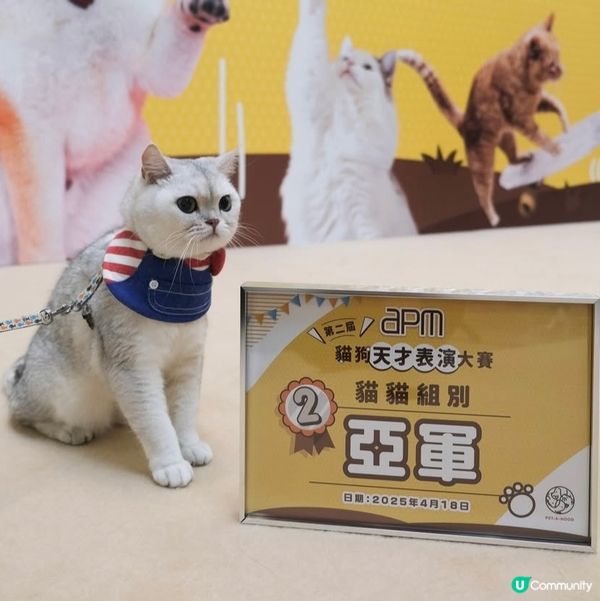 Apm第二屆天才表演嘅亞軍