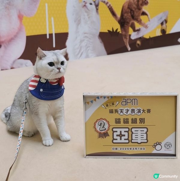 Apm第二屆天才表演嘅亞軍