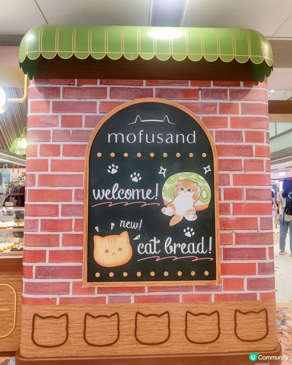 Mofusand 😘夏日喫茶店☕️ 勁萌！