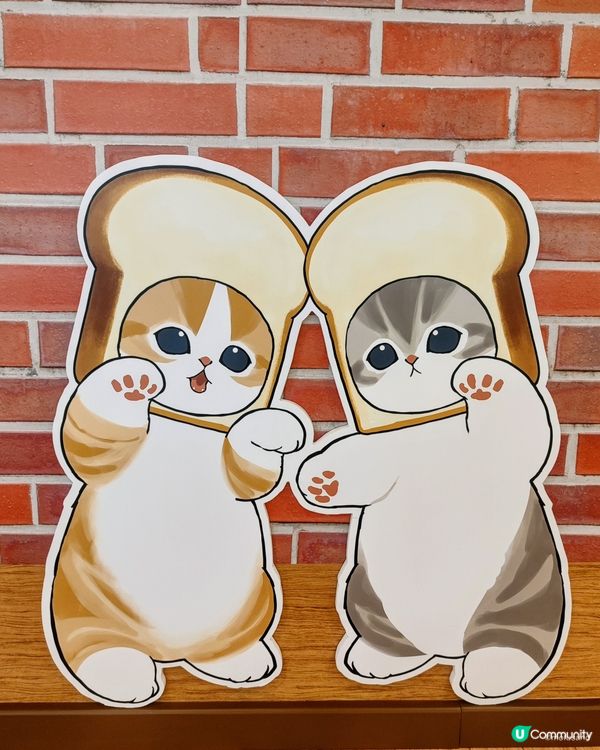 Mofusand 😘夏日喫茶店☕️ 勁萌！