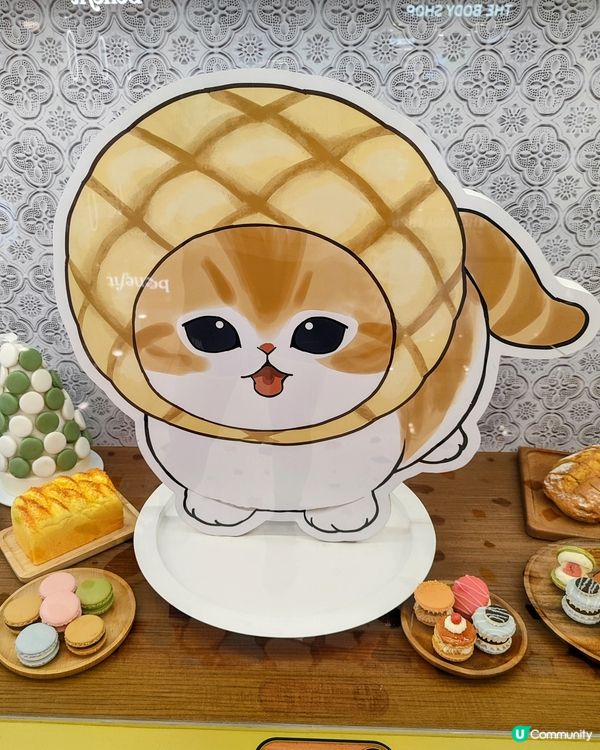 Mofusand 😘夏日喫茶店☕️ 勁萌！