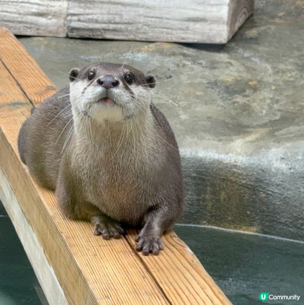 香港公園+動植物公園