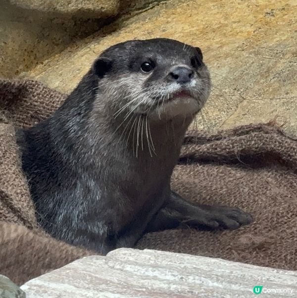 香港公園+動植物公園