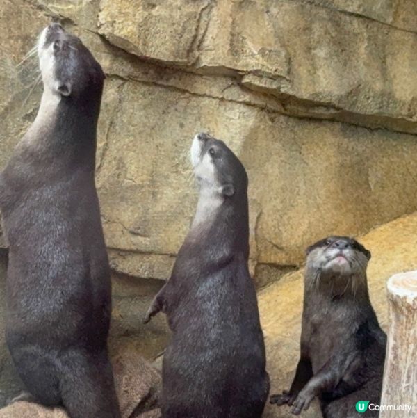 香港公園+動植物公園