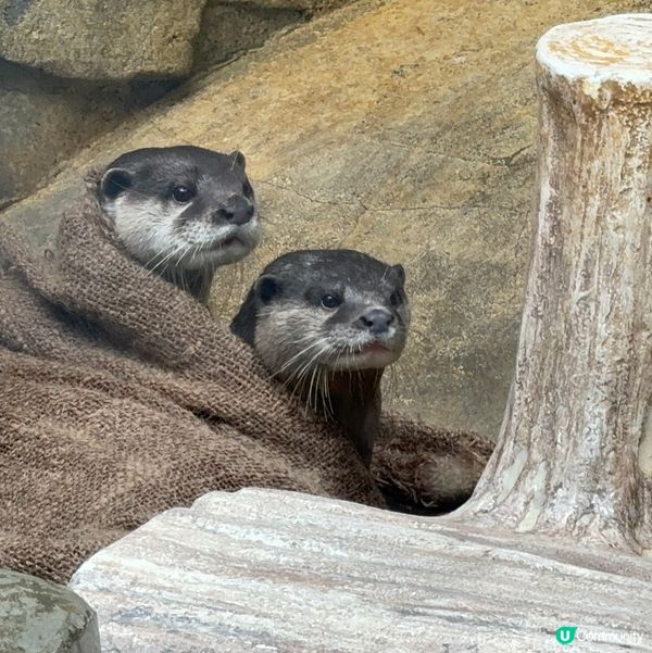 香港公園+動植物公園