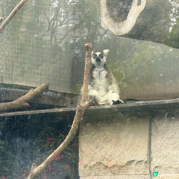 香港公園+動植物公園