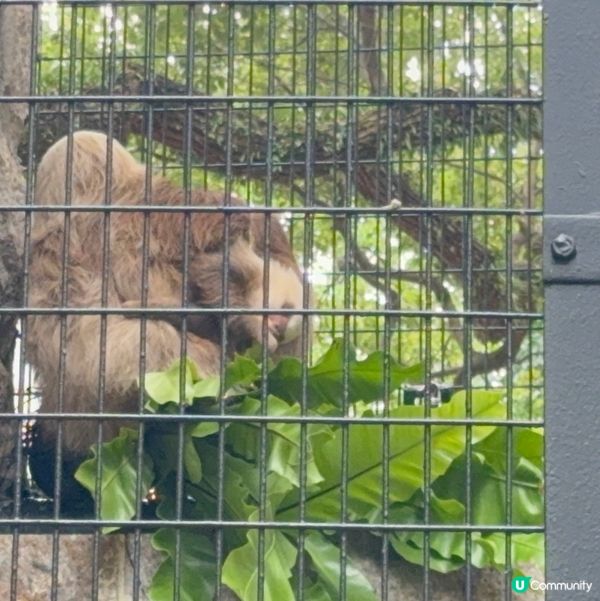 香港公園+動植物公園