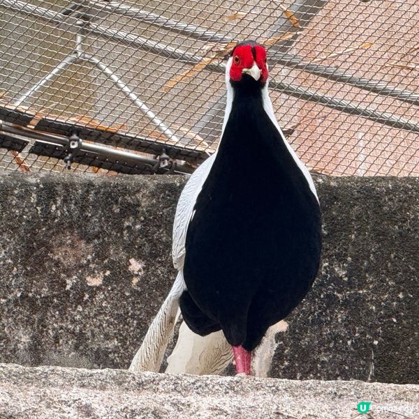 香港公園+動植物公園
