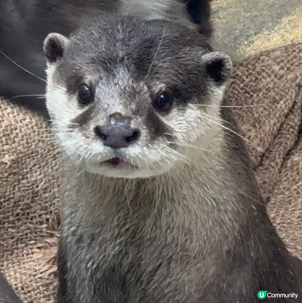 香港公園+動植物公園
