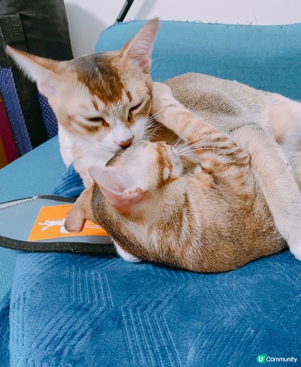 只要你唔尷尬，尷尬嘅就係人哋😅