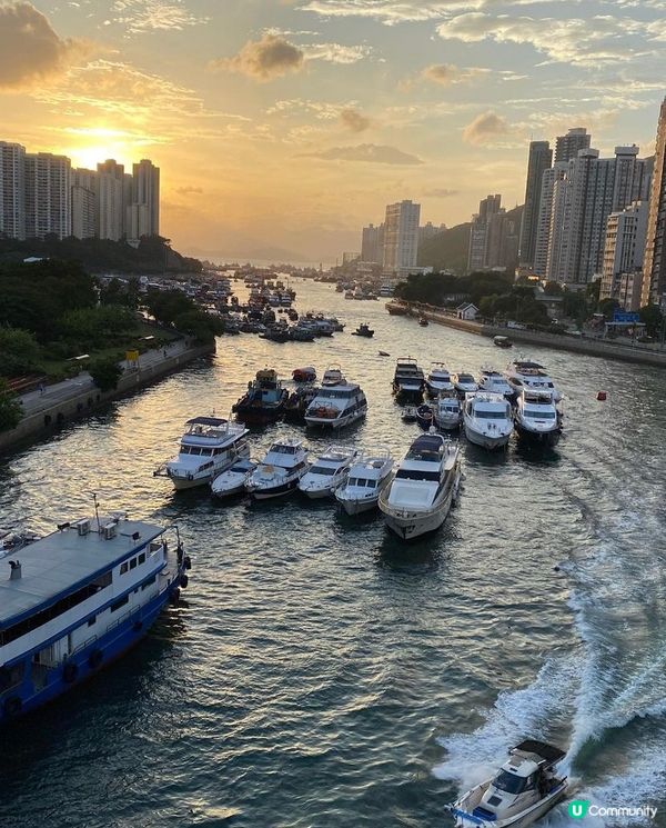 鴨脷洲大橋貫穿香港仔、鴨脷洲、海怡半島、黃竹坑等地。周邊都有...