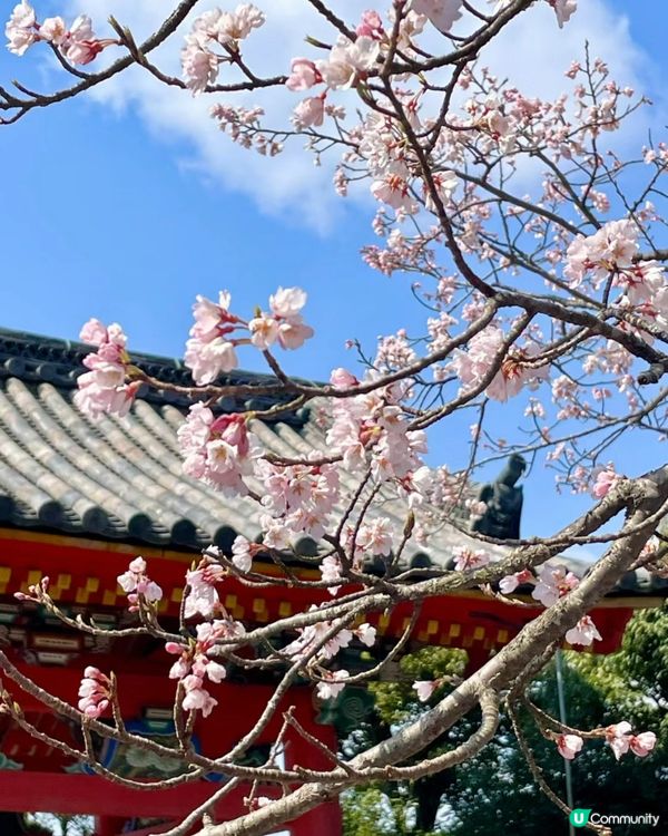 京都清水寺超詳細攻略及御守合集