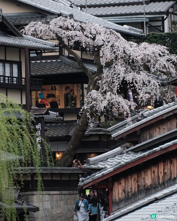 京都清水寺超詳細攻略及御守合集