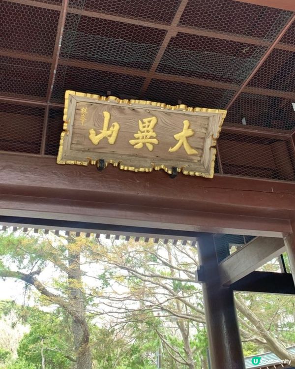 🇯🇵 神奈川県。鎌倉大佛 x 櫻花。