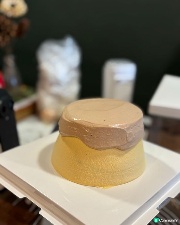 月食甜點研究所｜自己整布甸仔造型蛋糕🍮