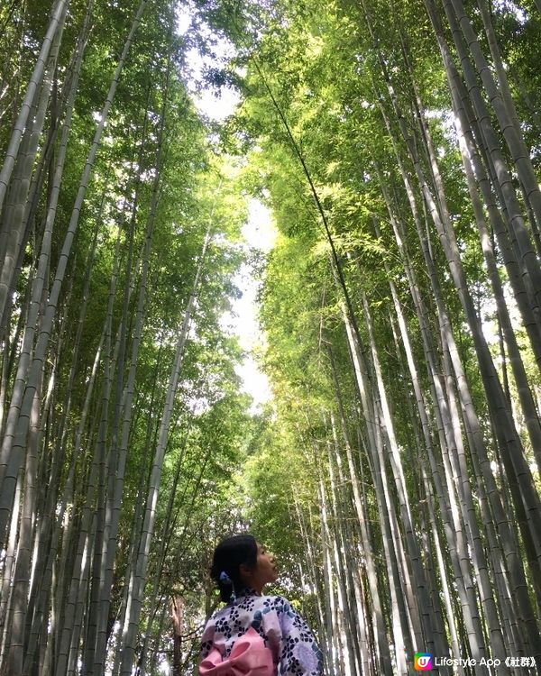 京都嵐山一日遊詳盡攻略-每次去京都必訪景點