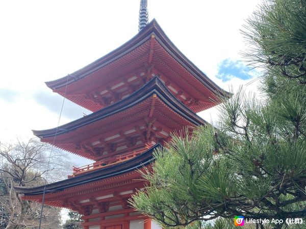 【日本京都】清水寺🇯🇵與畫，在人山人海找回一點憩靜🪵